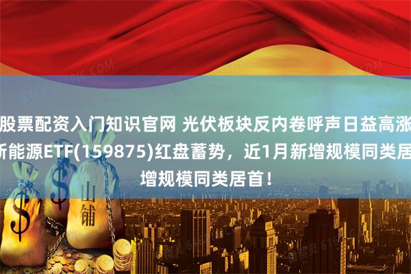 股票配资入门知识官网 光伏板块反内卷呼声日益高涨，新能源ETF(159875)红盘蓄势，近1月新增规模同类居首！