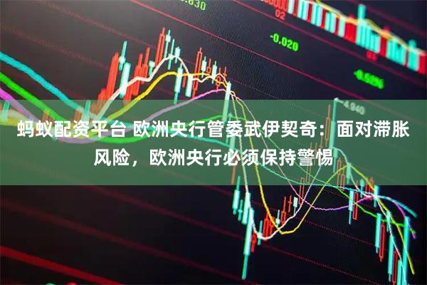 蚂蚁配资平台 欧洲央行管委武伊契奇：面对滞胀风险，欧洲央行必须保持警惕